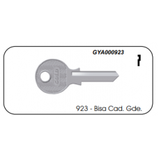 Chave Gold Yale Bisa 923
