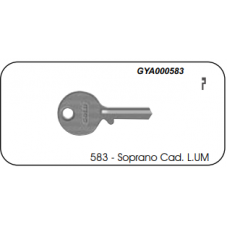 Chave Gold Yale Soprano Cadeado 583